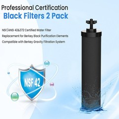 2-Pack Black Purification Elements for BB9-2 Filters – Improves Taste & Clarity