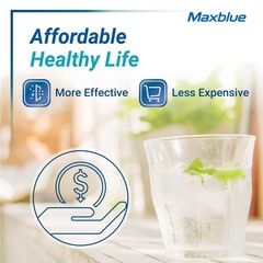 GE RPWFE RPWF Refrigerator Water Filter with CHIP, Compatible WSG-4 WF277 GFE…