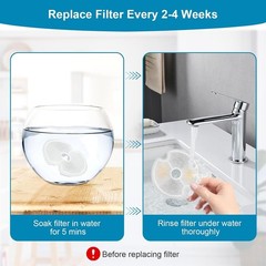 8 Packs Replacement Filters for 84oz/2.5L Stainless Steel and Neverland Cat W…