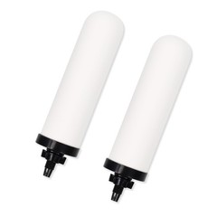 2 PCS 7 inch ceramic water filter Candle,7» water filter filters with Activa…