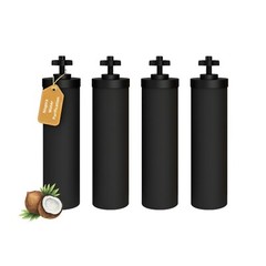 Nispira Water Filter for Black Element BB9-2 Travel Filtration, 4 pks