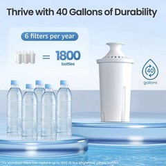 X12 Certified Pitcher Water Filter, for Brita And Other 35557, OB03 2 year