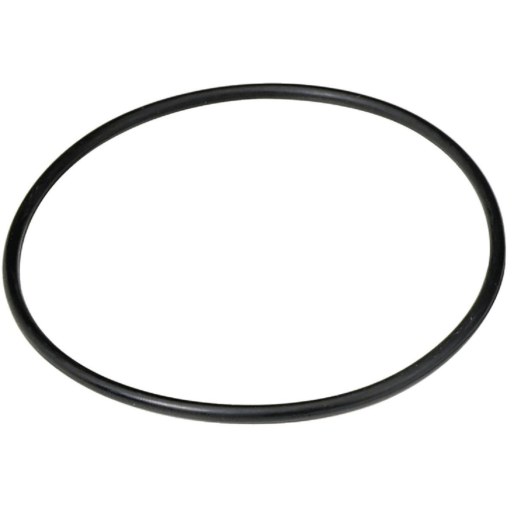 Culligan 3/4 In. Water Filter O-Ring, (2-Pack) OR34A Culligan OR34A