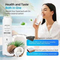 800GPD Ro Water Filtration System, MIZUDO 9 Stage Tankless Reverse