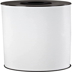 Water Filter Whole House Radial Flow Iron Reduction Cartridge 20 X 4.5 In White