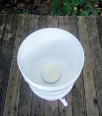 2.5 Gallon Countertop Gravity-Fed Water Filter System w/ Activated Charcoal
