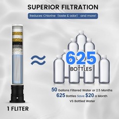 Replacement Filters for Filtered Kitchen Faucet with Pull Down Sprayer, Reduc…