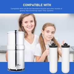 2 Pack 7» Ceramic Water Filter Candle W9121226 Compatible with British Berkefel