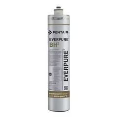 Pentair Everpure Ev961250 Quick Connect Filter, 0.5 Gpm, 14 1/2 In H