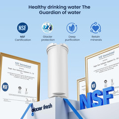 GLACIER FRESH Replacement for GE Profile Opal Ice Maker Filter,Nsf 42 Certified,