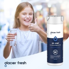 XWF Replacement For GE XWF Refrigerator Water Filter Pack of 2 Not for XWFE