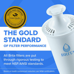 Large 10 Cup Water Filter Pitcher, 1 plus Filter, Everyday, Black (Package May V