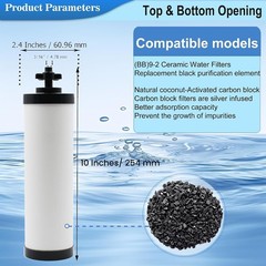 Upgrade Your Berkey with Silver Infused BB9-2 Filters – 2 Pack for Pure Water