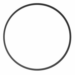 3 Pack of 0-RINGS FOR BIG BLUE HOUSING CAPS