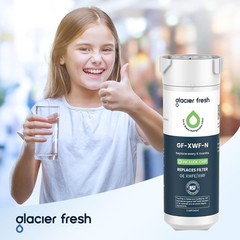 XWFE Water Filter for GE Refrigerators Pack of 2
