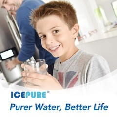 ICEPURE XWF (𝐍𝐎𝐓 𝐗𝐖𝐅𝐄) Water Filter Replacement for GE XWF, WR17X30702