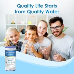Waterdrop FXHSC Whole House Water Filter, Replacement for GE®FXHSC, GXWH40L,(2)
