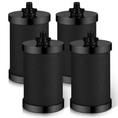 2387 Filter , NSF Certified for Alexapure 2387 Water Filter, 5,000 Gallon Thr…