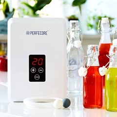 Home Ozonator with Powerful 600mg/Hr Output for Odor and Contaminant Removal