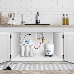 APEC Water Systems Tank-4 4 Gallon Residential Pre-Pressurized Reverse Osmosi…