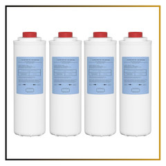 Water Filter Replacement 51300C Elkay EWF3000 EZH2O 3000 Gallon No Chip 4 PCS