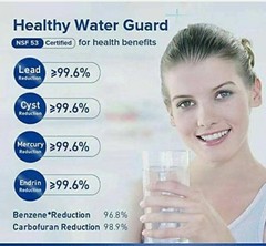 USA 2 PACK GE MWF MWFP 46-9991 GWF Smartwater Genuine Refrigerator Water Filter