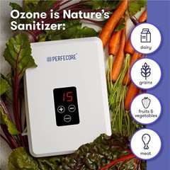 Home Ozonator with Powerful 600mg/Hr Output for Odor and Contaminant Removal