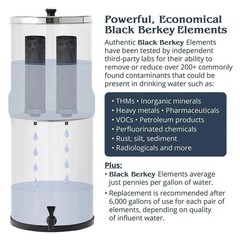 BB9-2 Black Berkey Water Filter Replacement Elements (4-Pack)