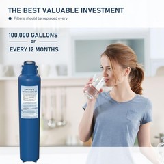 AP917HD-S AP904 Water Filter Replacement, Whole House Sanitary Quick Change