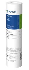 Pentair P5 Sediment Water Filter, 10-Inch, Under Sink Spun-Bonded Polypropyle…