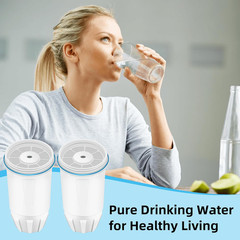 Water Filter Replacement for Zero, Fit Zero Water Pitchers ZR-001 ZD-012RP ZR-00