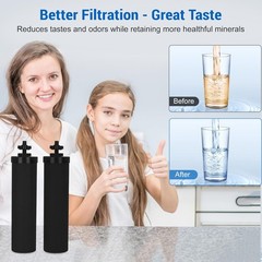 2pcs For Berkey BB9-2 Authentic Purification Elements Water Filter Replacement