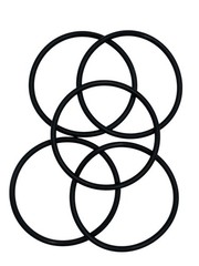 5pk compatible for OmniFilter OB1 Series A, original o-ring Black 3/16″ thick