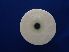 HYDRO CURE DELUXE 25 MICRON 10″x2.5″ SEDIMENT FILTER – CASE OF 24 FILTERS