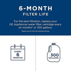 GE RPWFE Refrigerator Water Filter, Genuine Replacement Filter, etc..