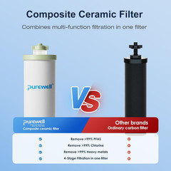 K Series 4-Stage Ceramic Water Filter 2-Pack, Removes 99% PFAS & Chlorine