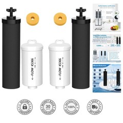 Efficient Gravity Water Filters for Berkey System: BB9-2 & PF-2 4 Filter Pack