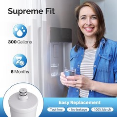 ICEPURE 5231JA2002A Refrigerator Water Filter Replacefor LG LT500P, Kenmore 9890