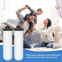 2 Pack 7» Ceramic Water Filter Candle W9121226 Compatible with British Berkefel