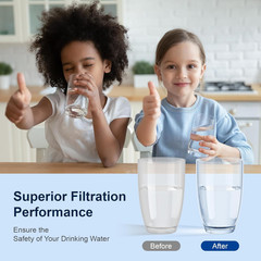 K Series 4-Stage Ceramic Water Filter 2-Pack, Removes 99% PFAS & Chlorine