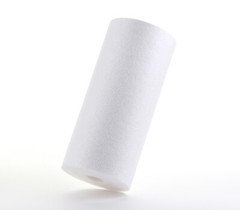 Whole House Hydroponics Commercial Sediment Water Filter 10″ 10 μm
