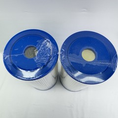 PurePlus IcePure WholeHouse Pleated Sediment Filter 10 x 4.5 PPL10BB Pack Of 2