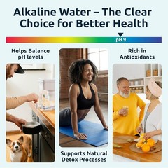 Invigorated Water Filter Pitcher 15 Cup Alkaline BPA Free 96 Gallon