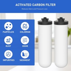 2 Pack 7» Ceramic Water Filter Candle W9121226 Compatible with British Berkefel