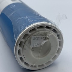Pentair Pentek Granular Activated Carbon Cartridge GAC-20