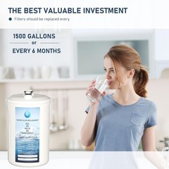 (2) FC1 F8 HG-N Water Filter Replacement Compatible Enagic Leveluk F8 and HG-N