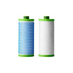 AO Smith Claryum Filter Replacement – 2 Pack