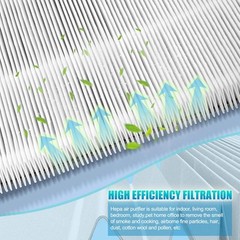 Upgraded Classic 200 300 Series DualProtection Replacement Filter Compatible