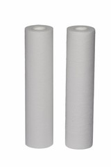EPW2B Whole House Replacement Filter, 2 Count (Pack of 1), White