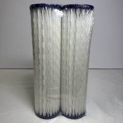 GE FXWPC Water Filter 2 Count Pack of 1 White